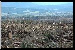 Img2005-05-12 145104.jpg